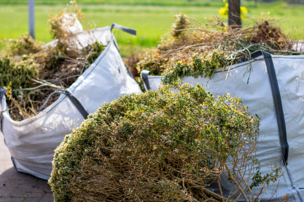 Professional Junk Removal in Big Spring, TX